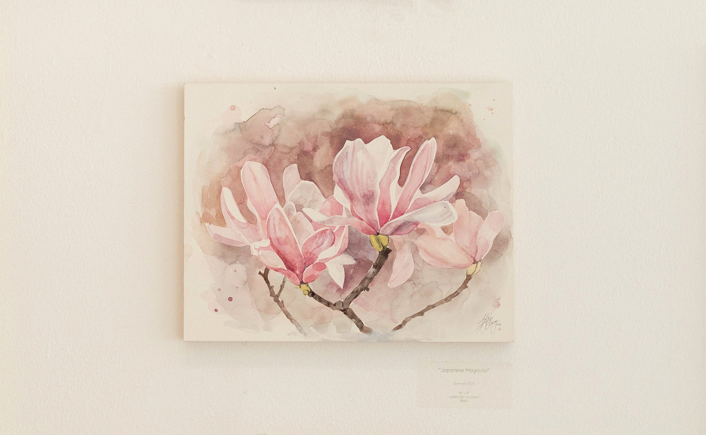 Japanese Magnolia
