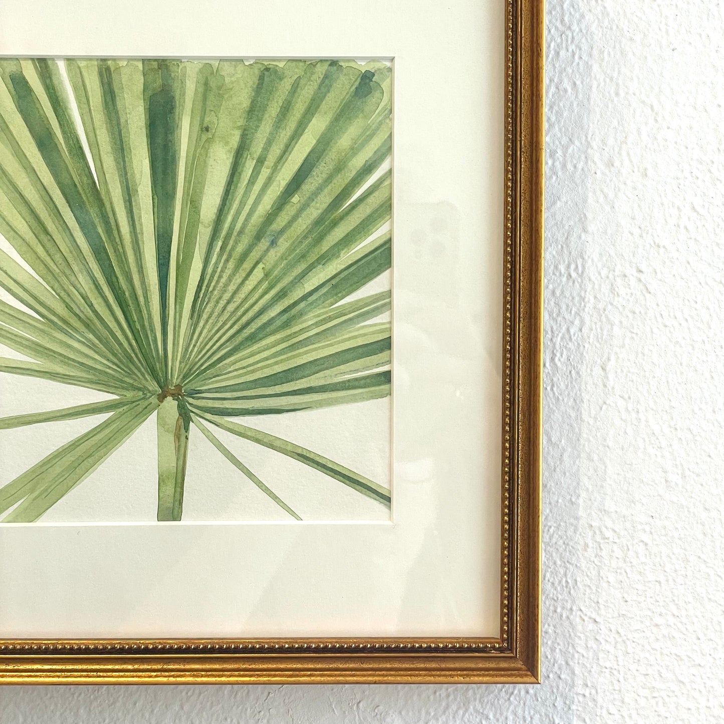 Palmettos study