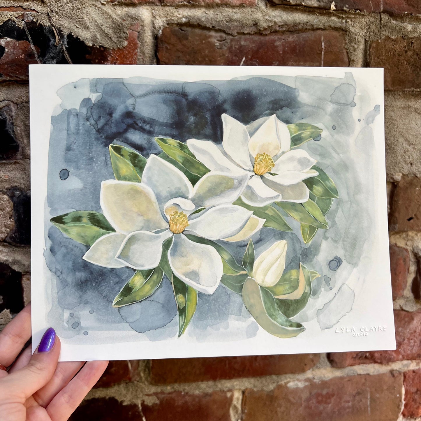 Southern Magnolia
