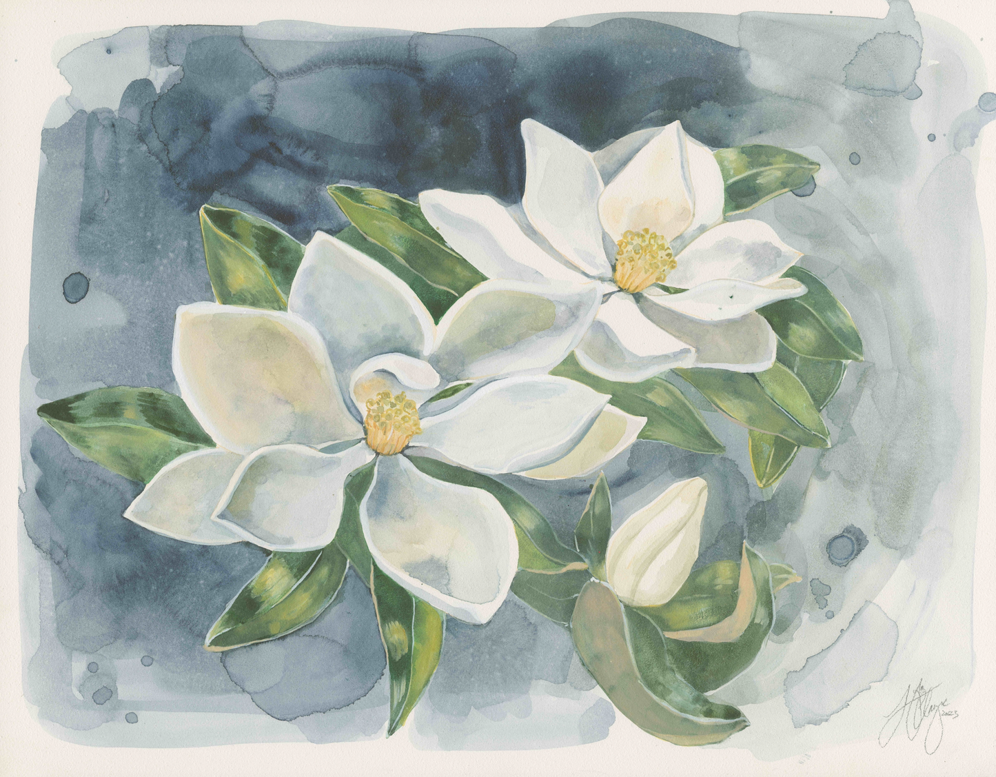Southern Magnolia