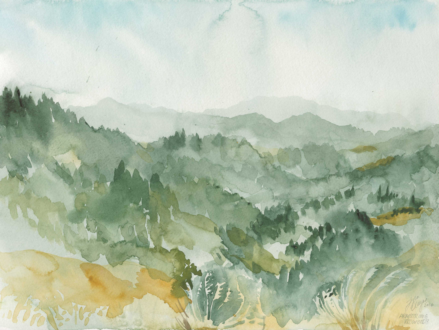 Armstrong Redwoods Vista