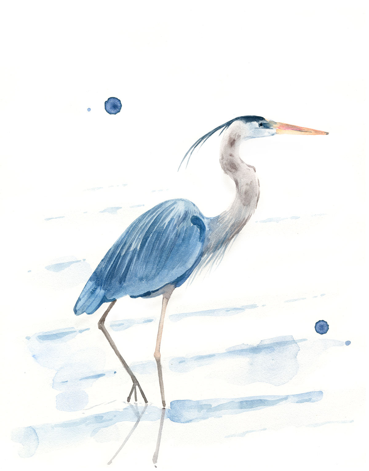 Great Blue