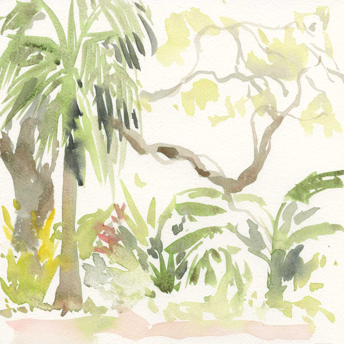 Botanical Gardens