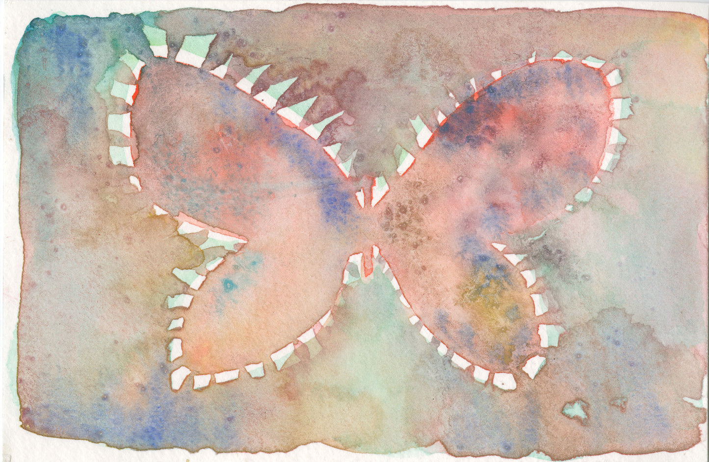 Butterfly color study