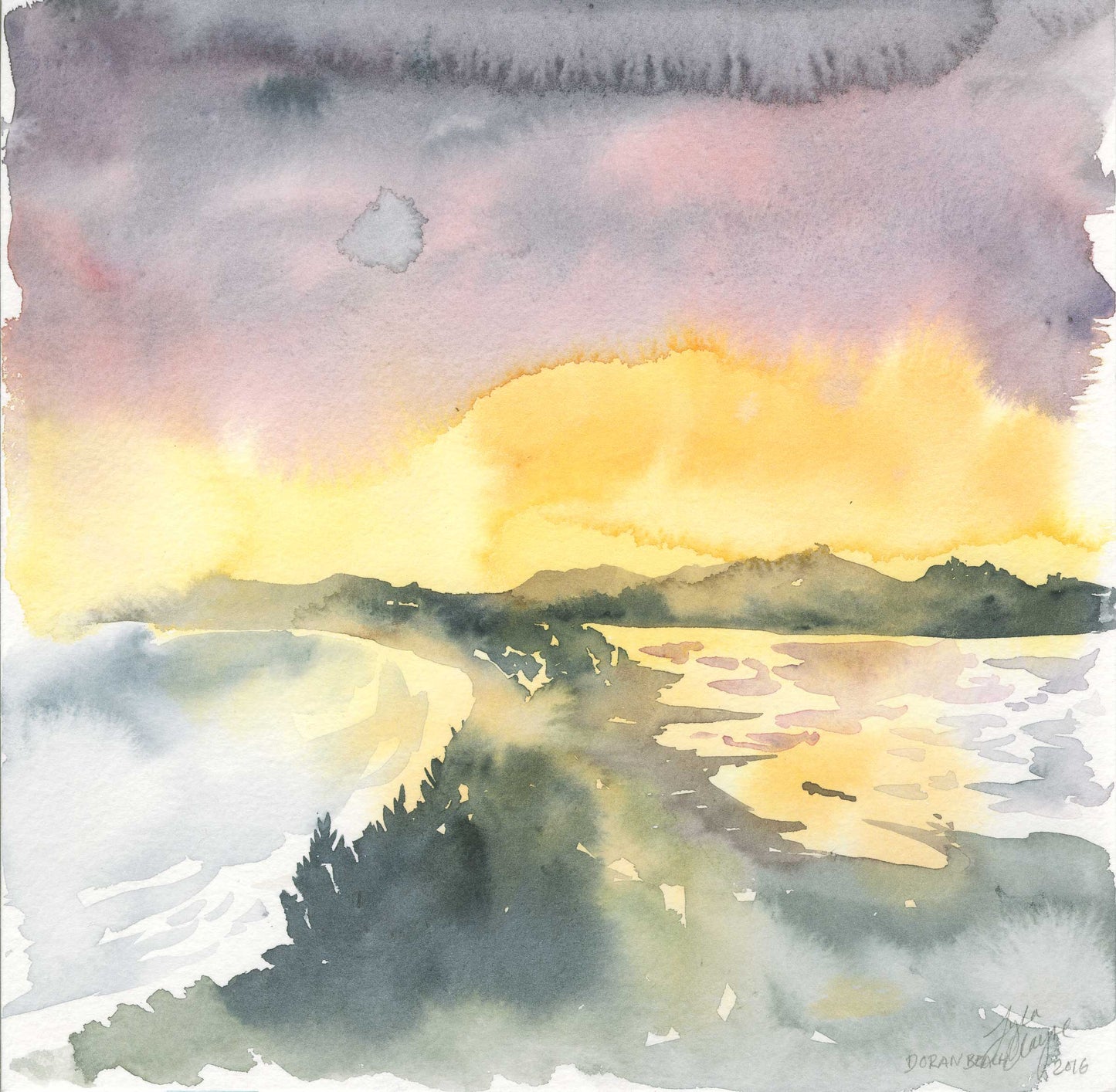 Bodega Bay IV