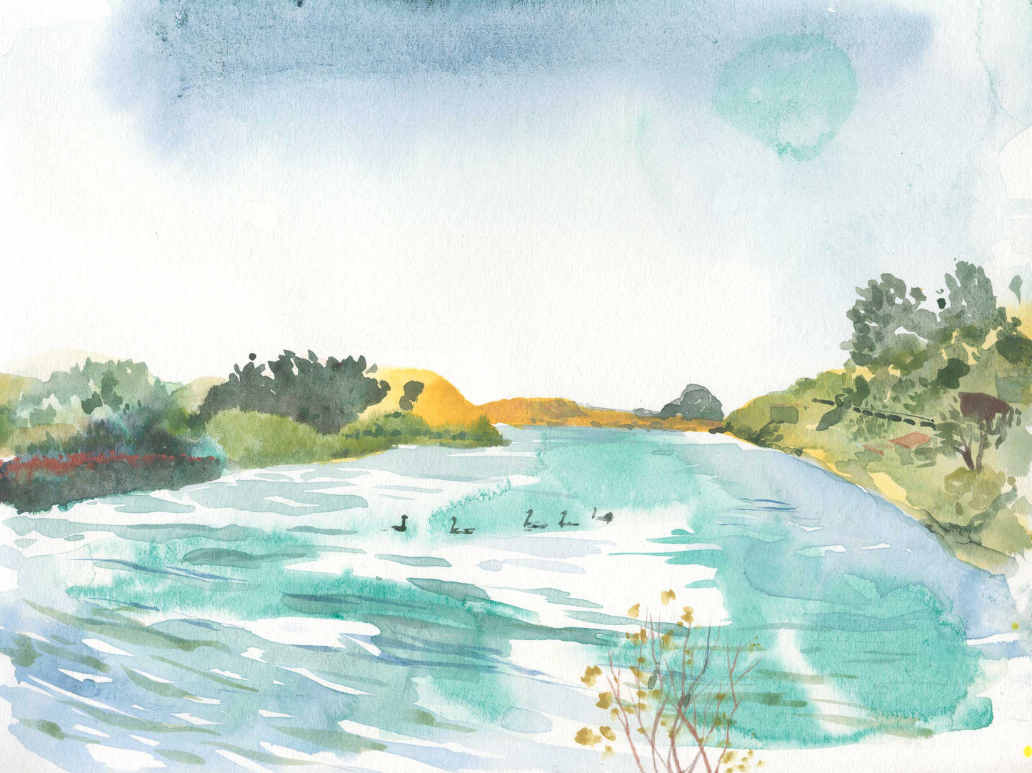 Russian River Estuary