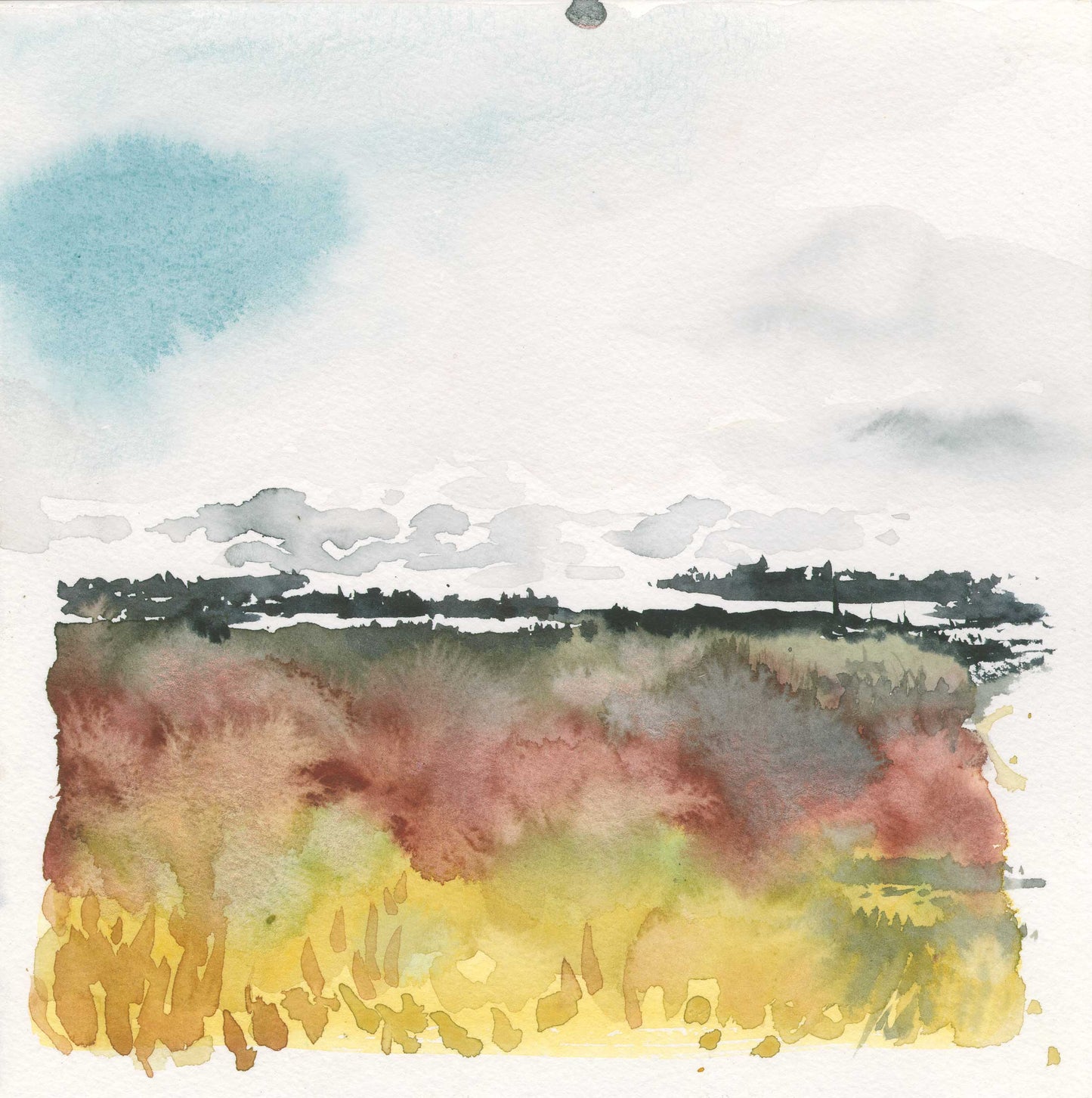 Big Branch Marsh