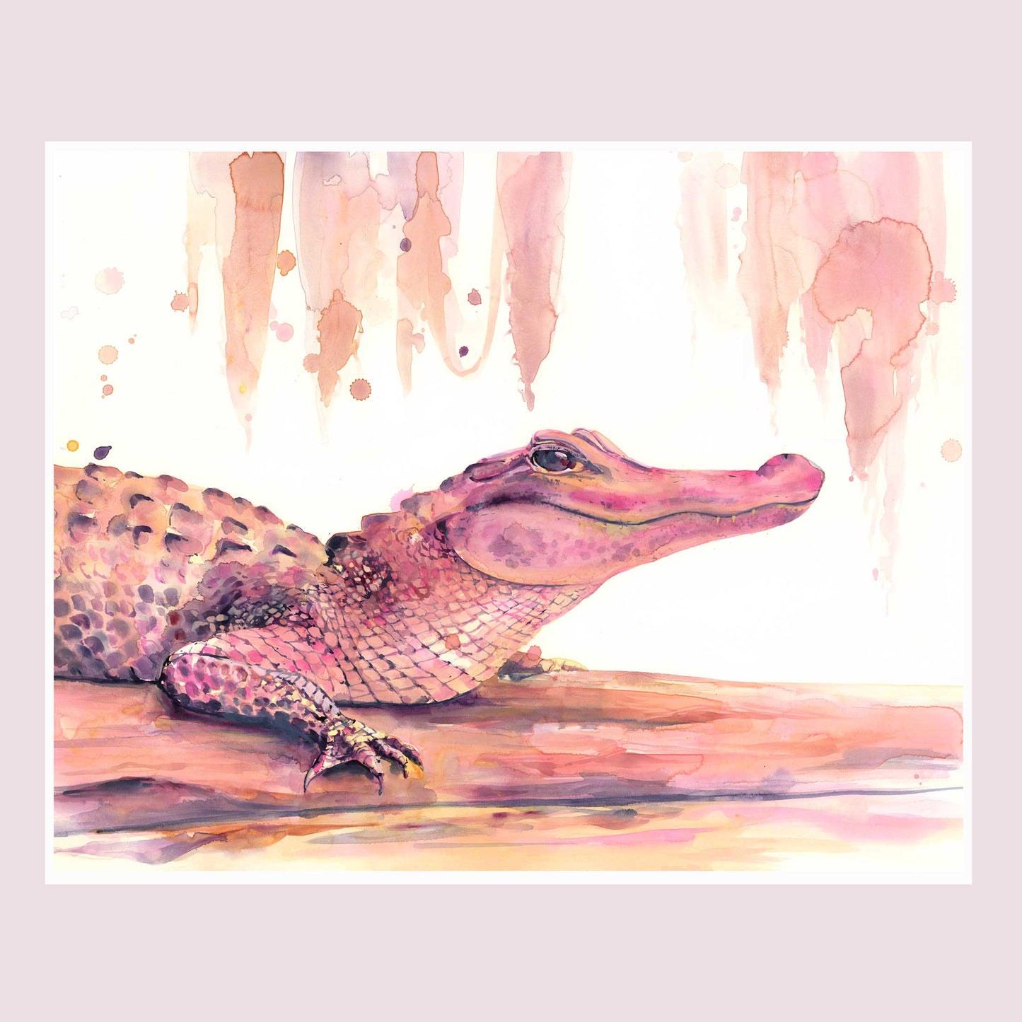 Pink Alligator