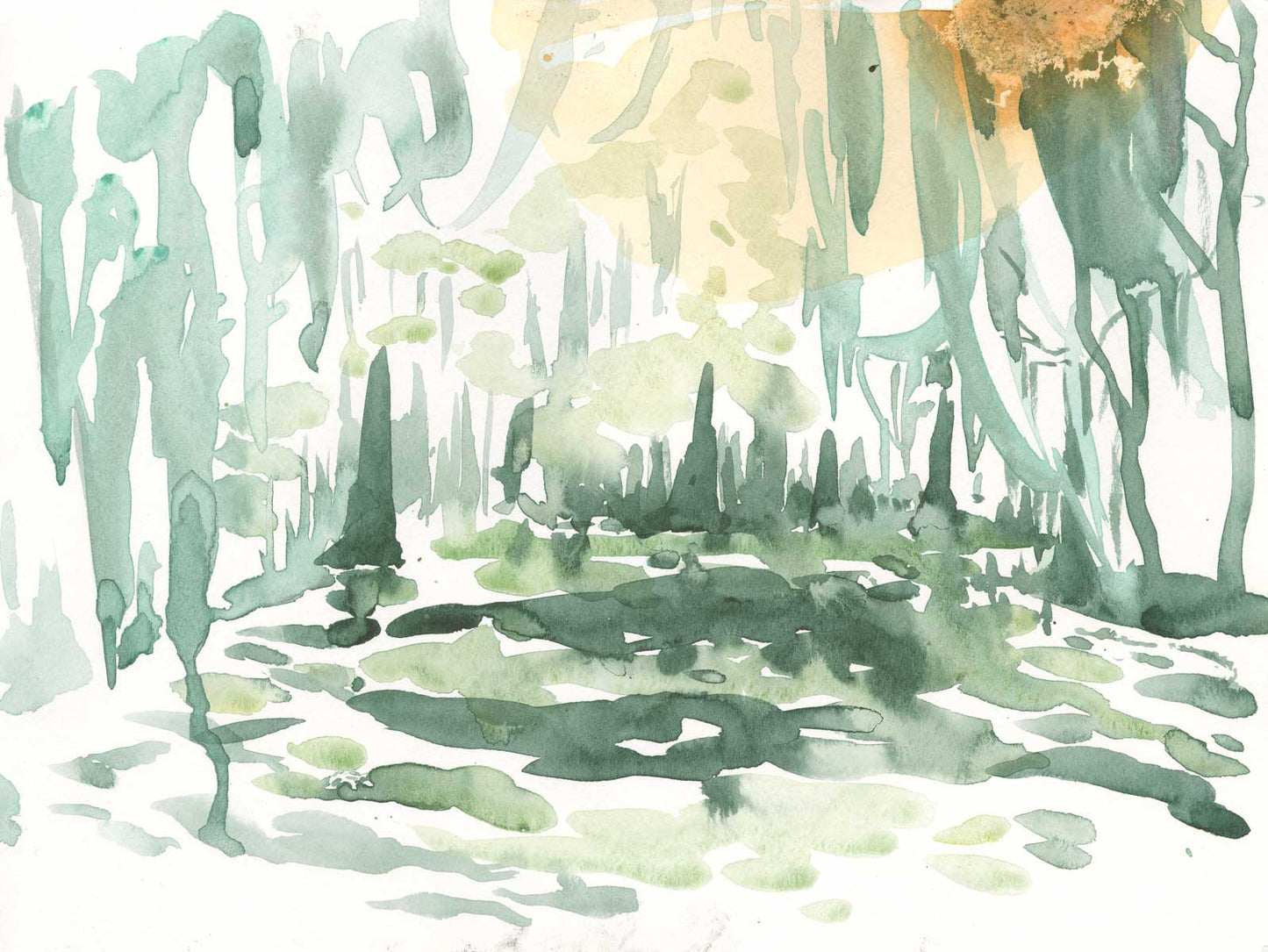 Swamp Study