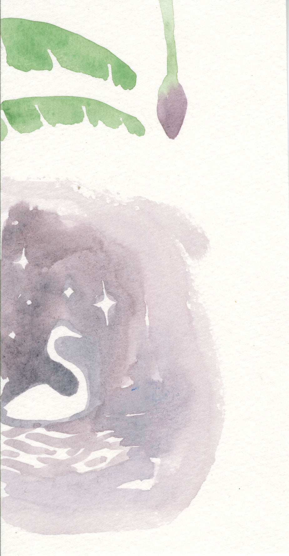 The Swan