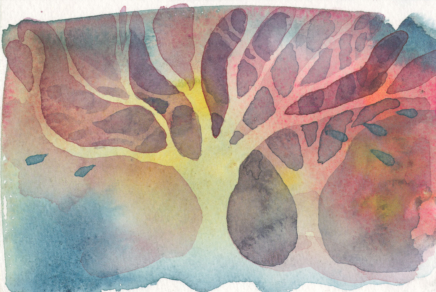 Trees color study