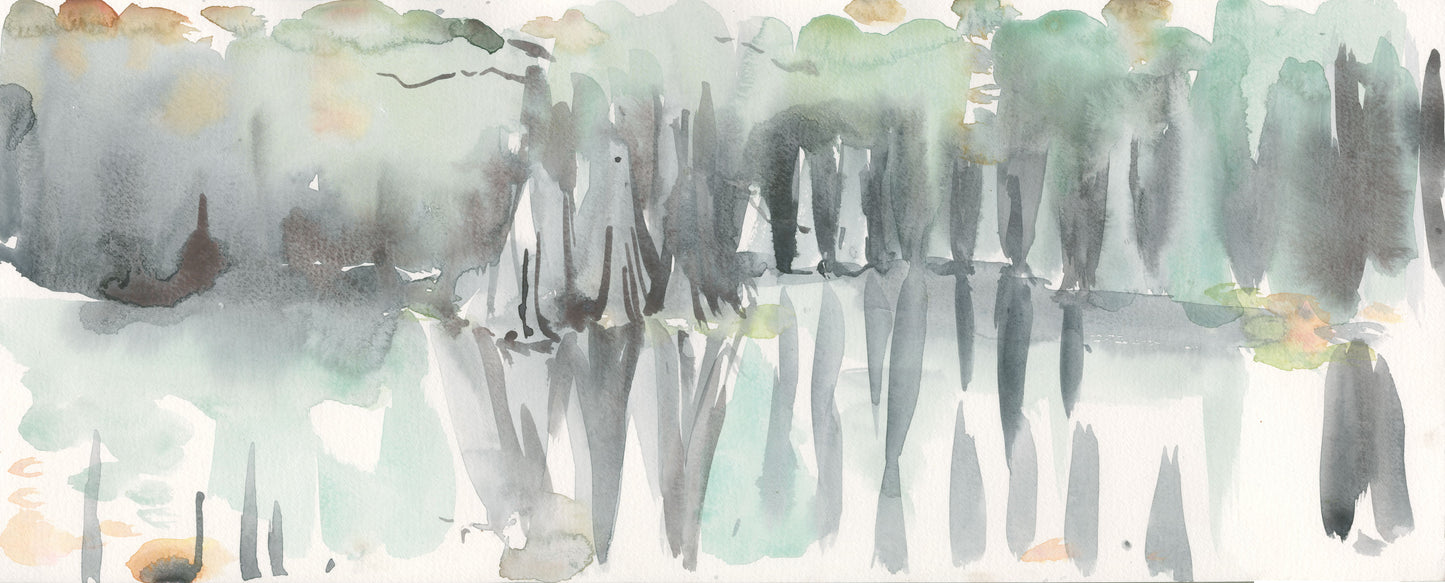 Twilight Swamp Study