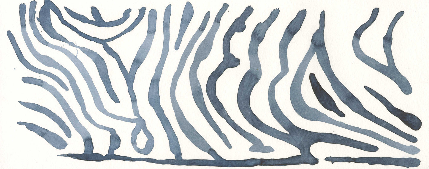 Zebra Pattern
