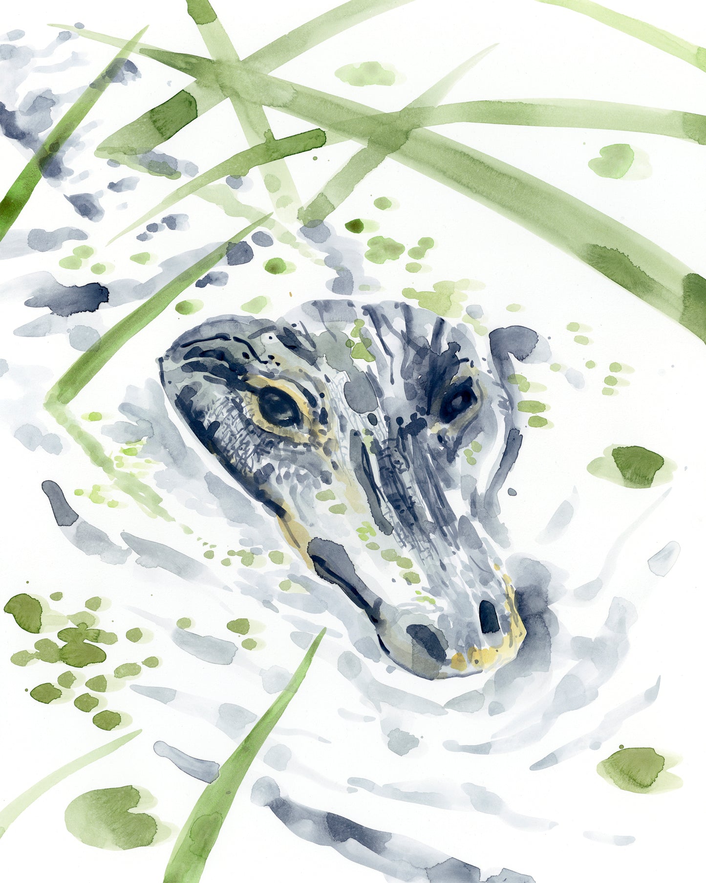 Alligator in the reeds