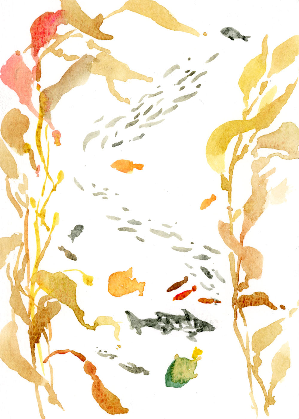 Kelp Forest