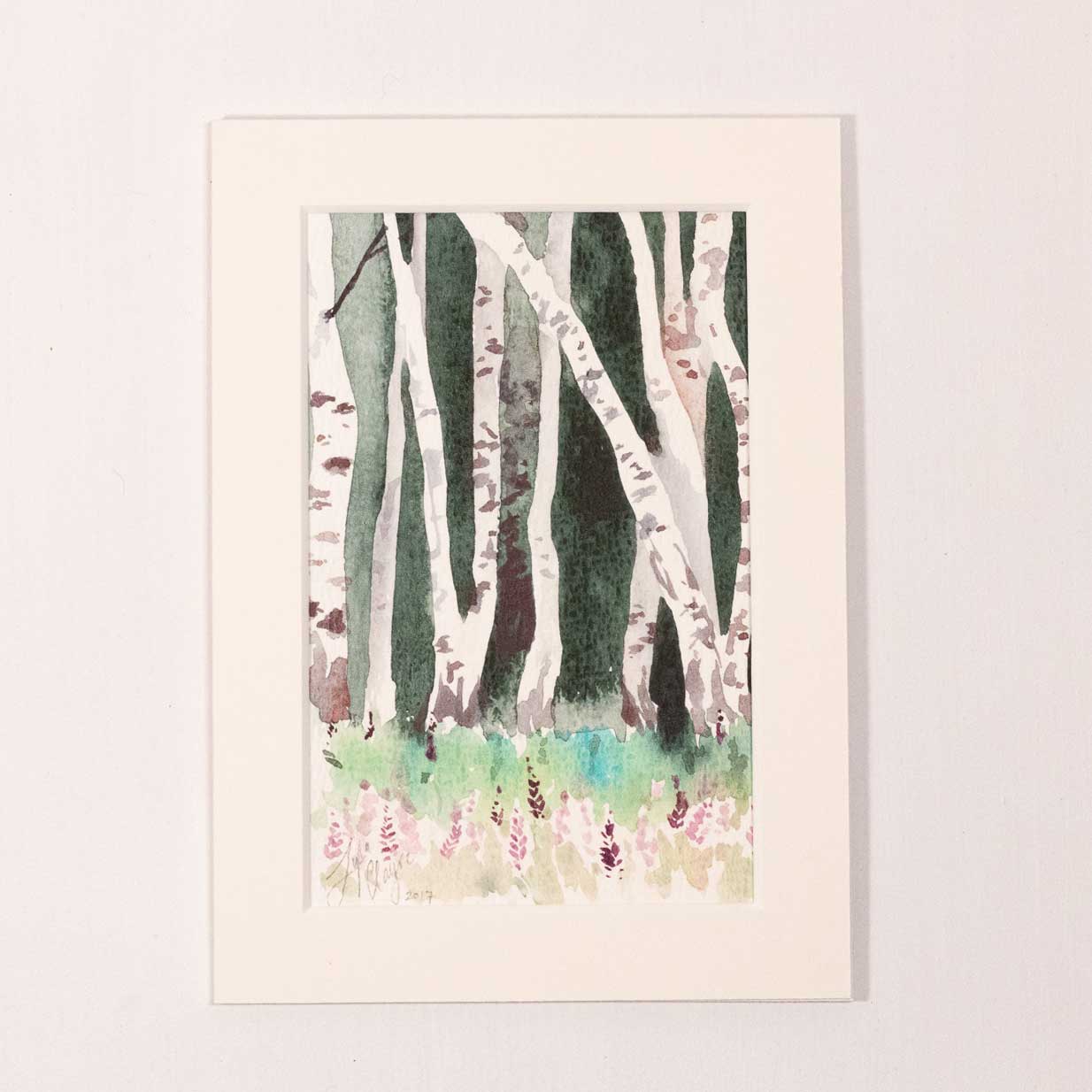 Birch Forest