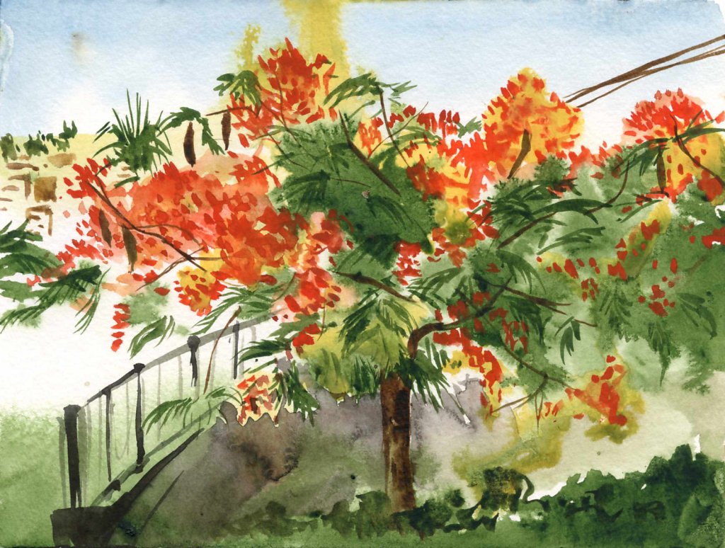 Tiberius original watercolor painting