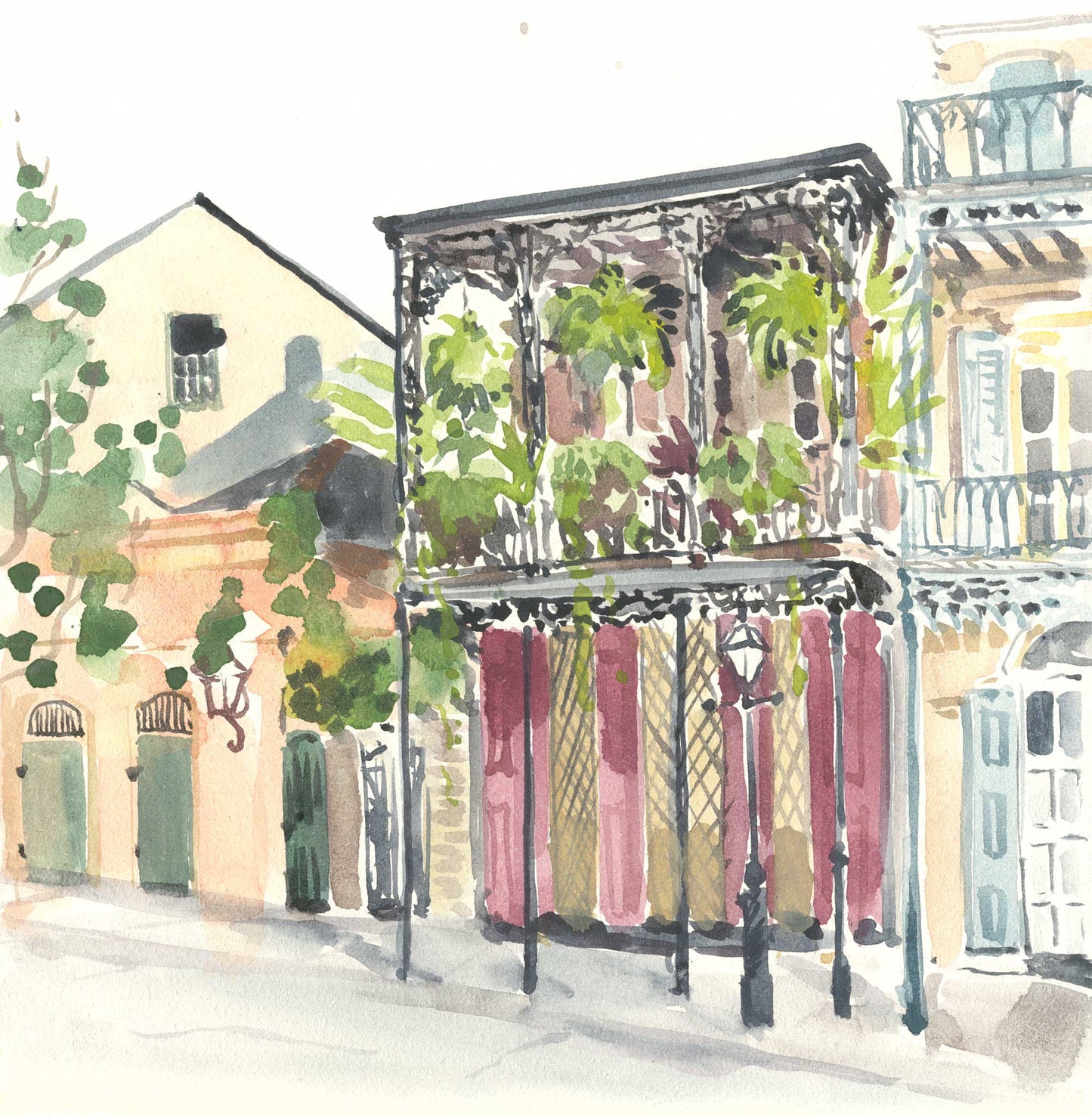 Ferns on Chartres