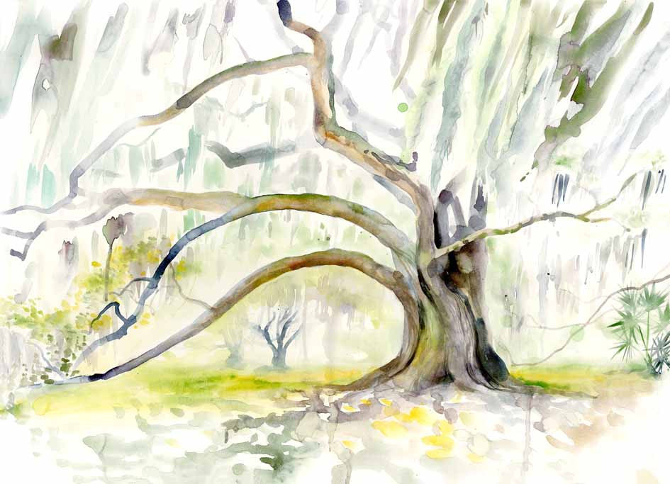 City Park Oaks watercolor print