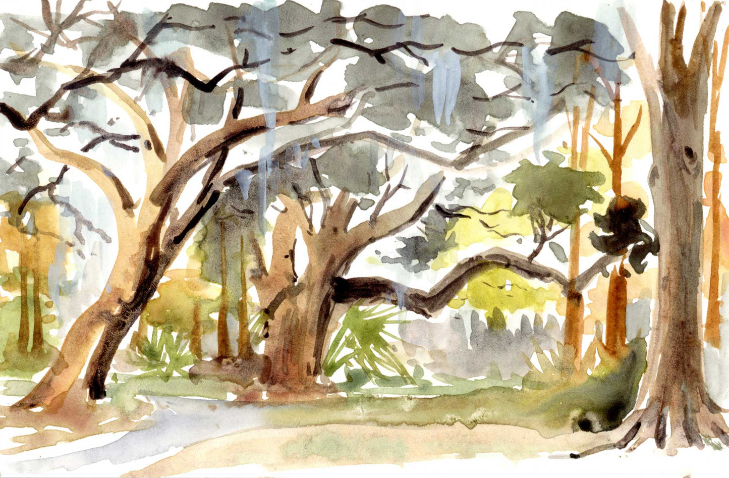 City Park II