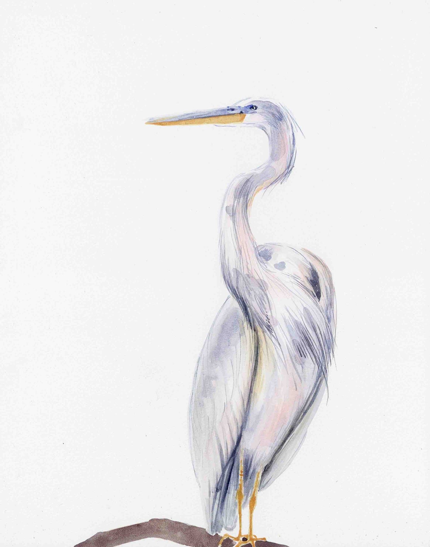 Egret perch