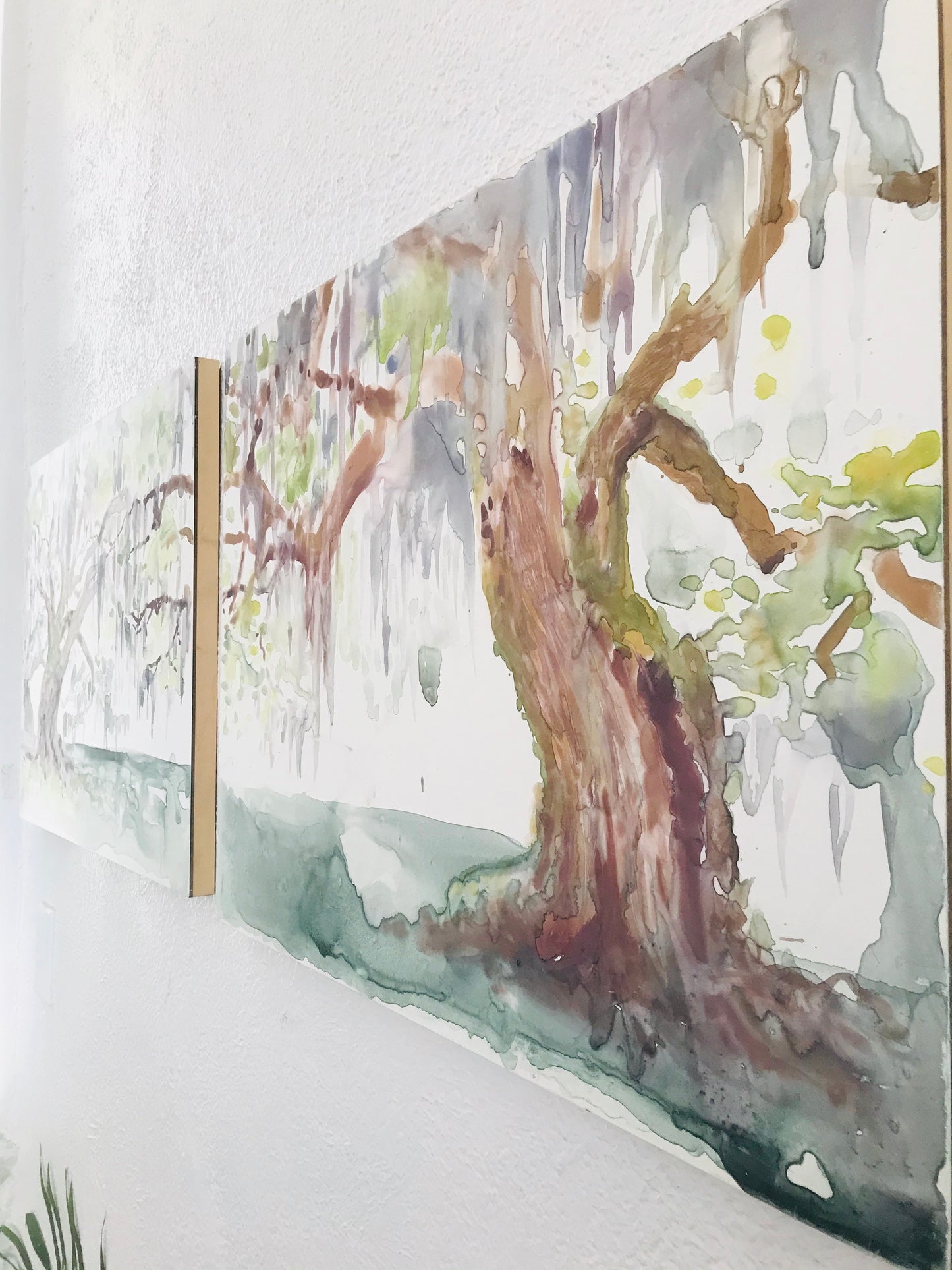 Live Oak diptych