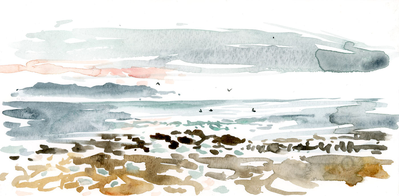 Pelicans on the Pacific