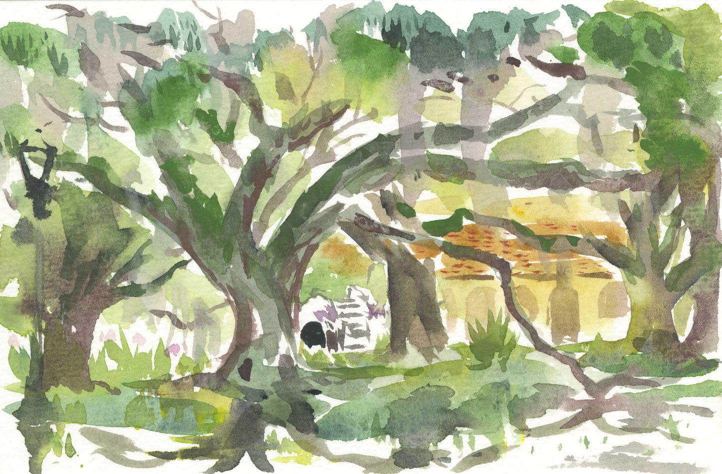 City Park Reflections