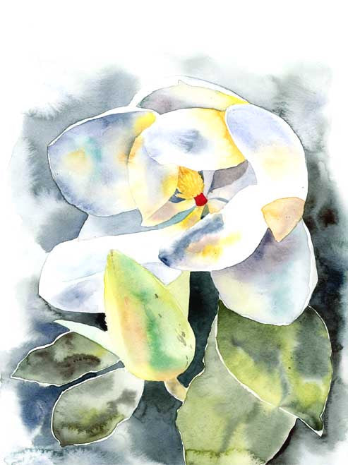 Southern Magnolia