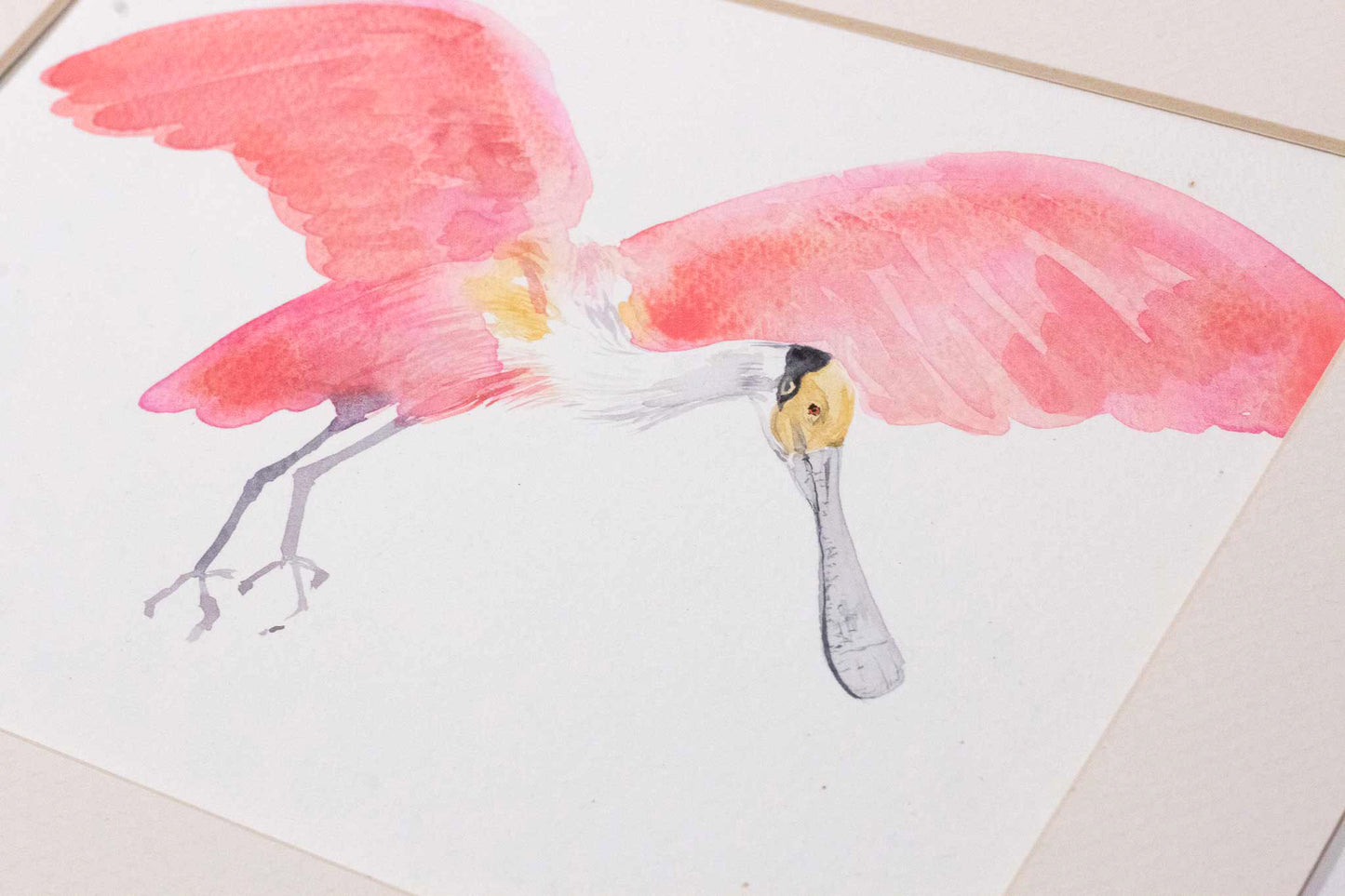 Roseate Spoonbill