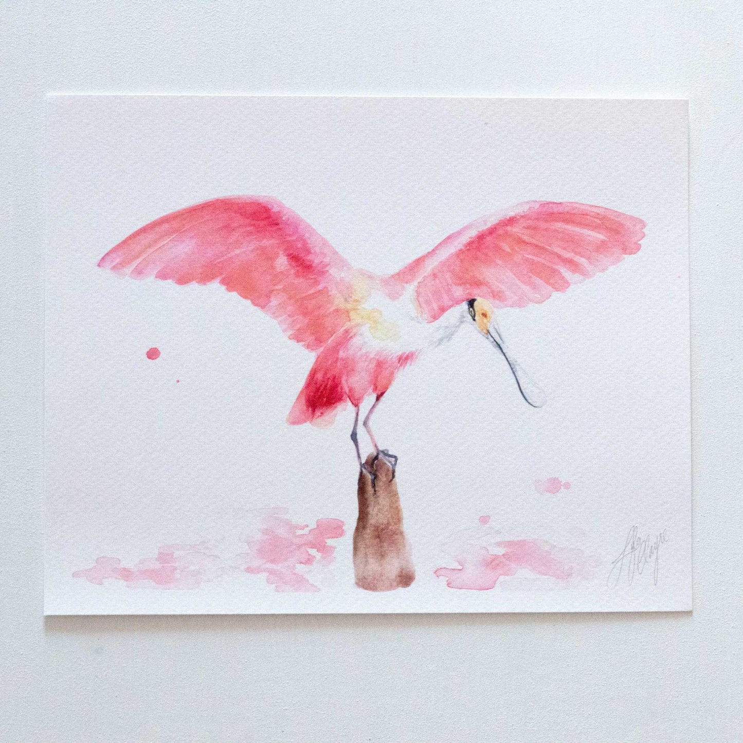 Roseate Spoonbill