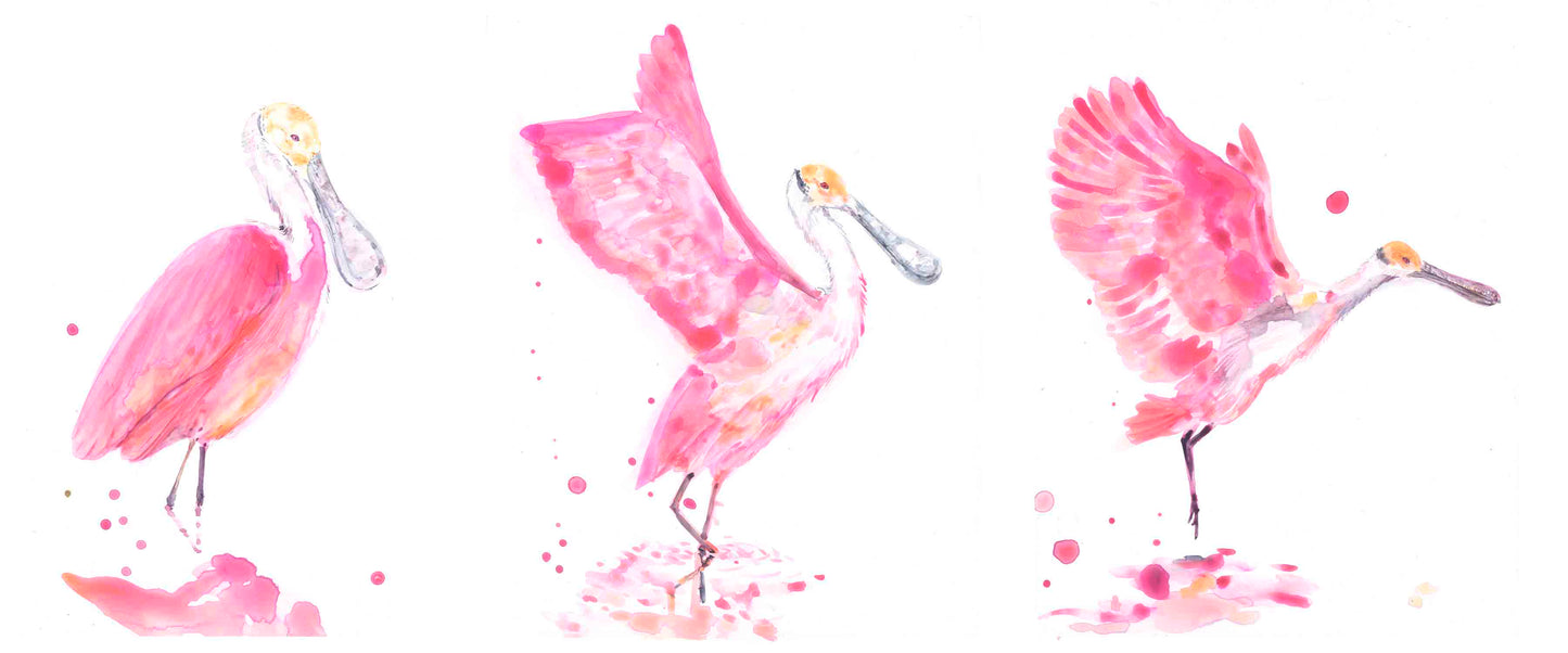 Taking flight