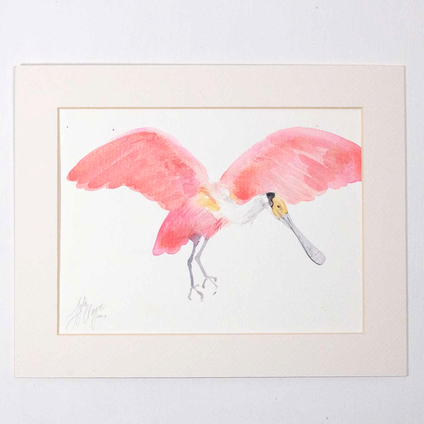 Roseate Spoonbill