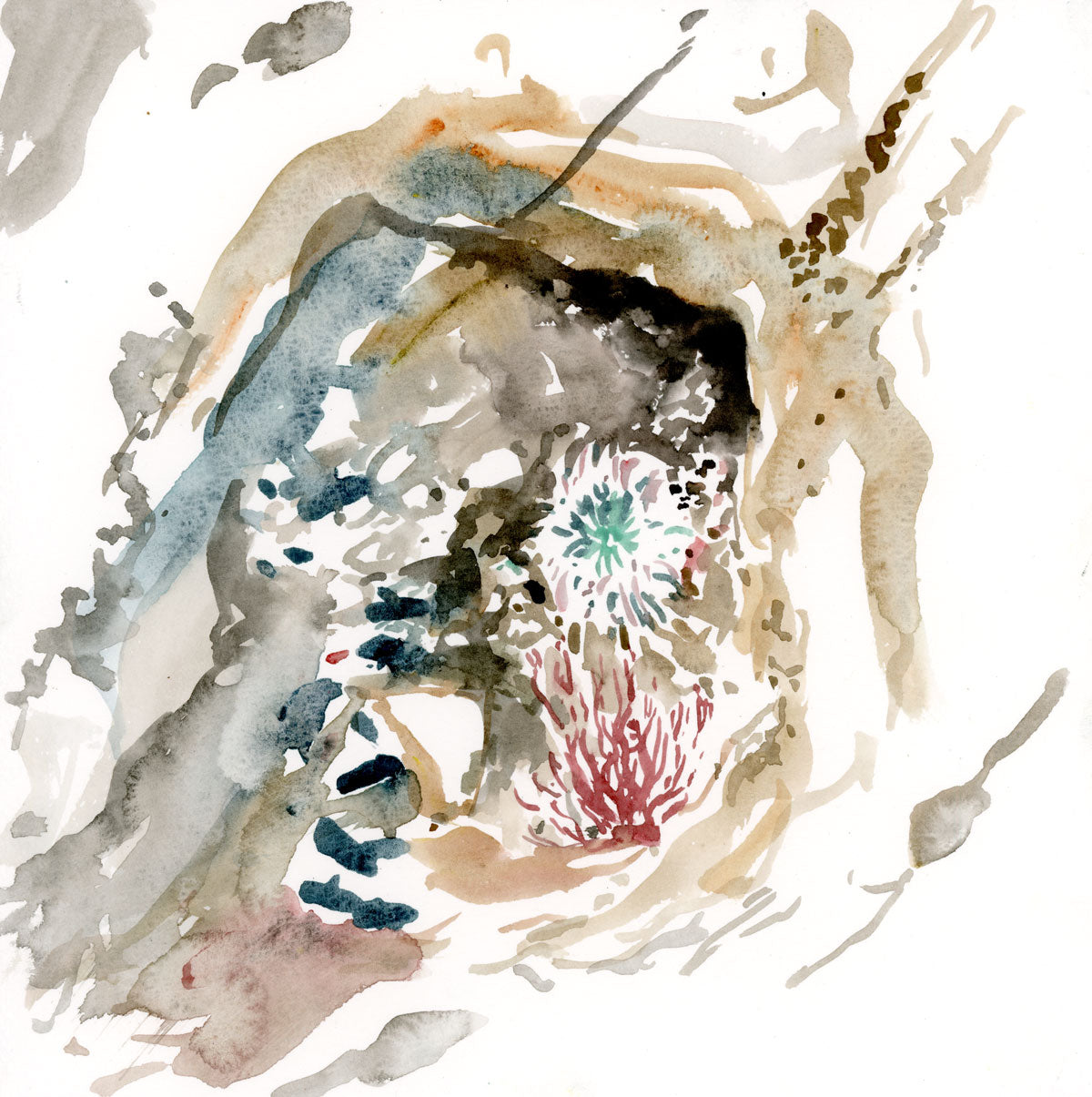 Tide Pool