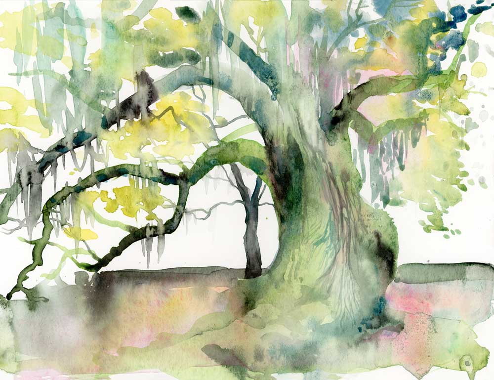 Tree of Life notecards