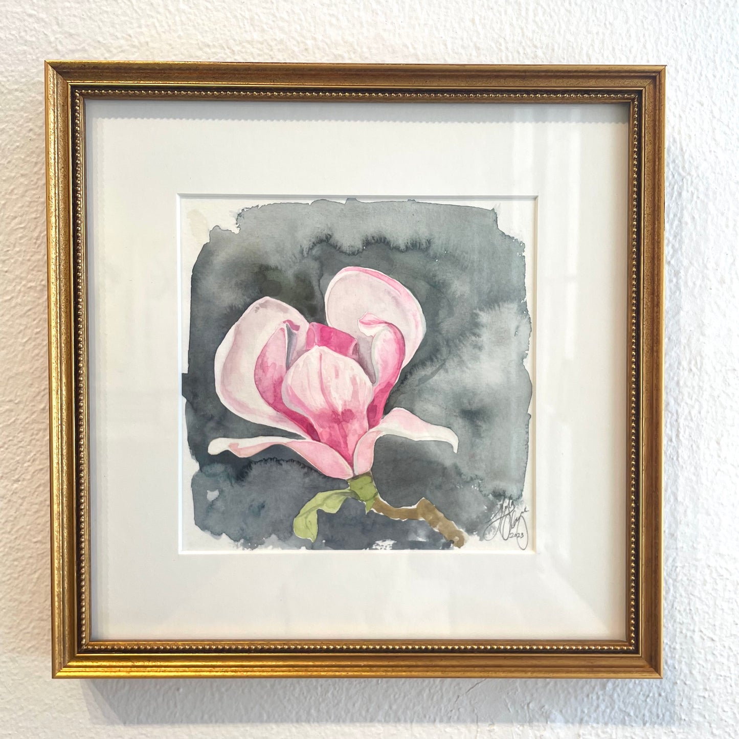 Japanese Magnolia “tulip tree” flower study