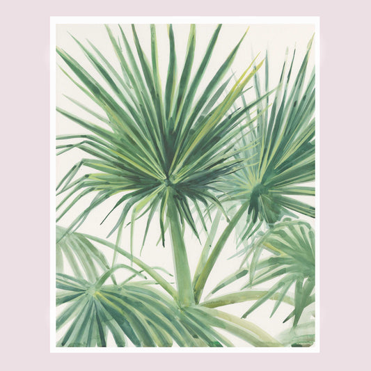 Palmettos