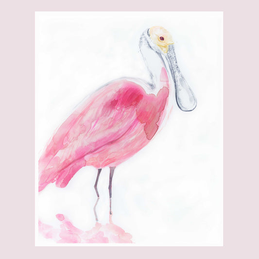 Roseate Spoonbill