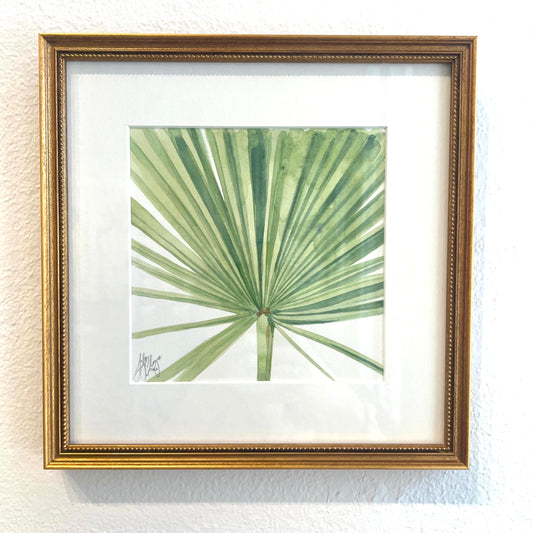 Palmettos study