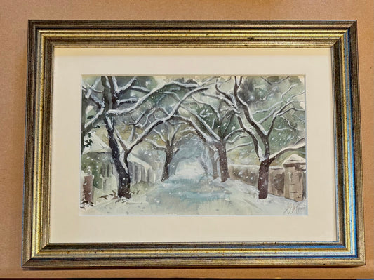 Snowy Oaks