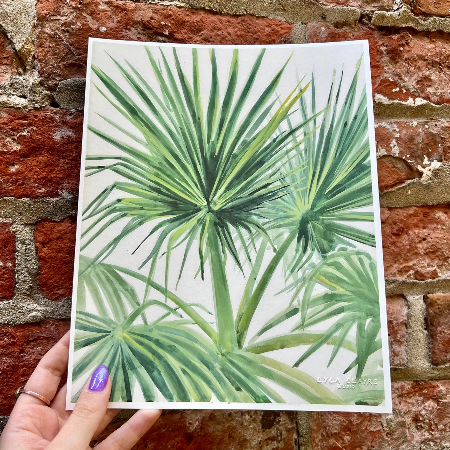 Palmettos