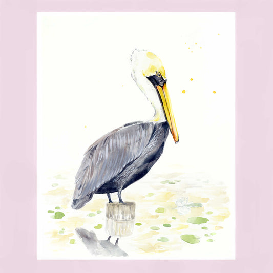 Pelican & White Lotus