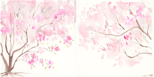 Japanese Magnolia Diptych