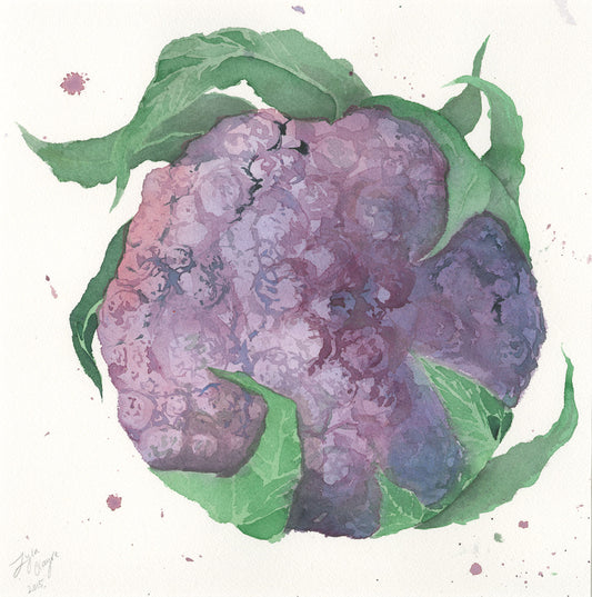 Purple Cauliflower