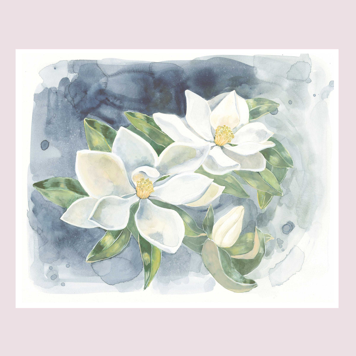 southernmagnolia-catalog.jpg?v 