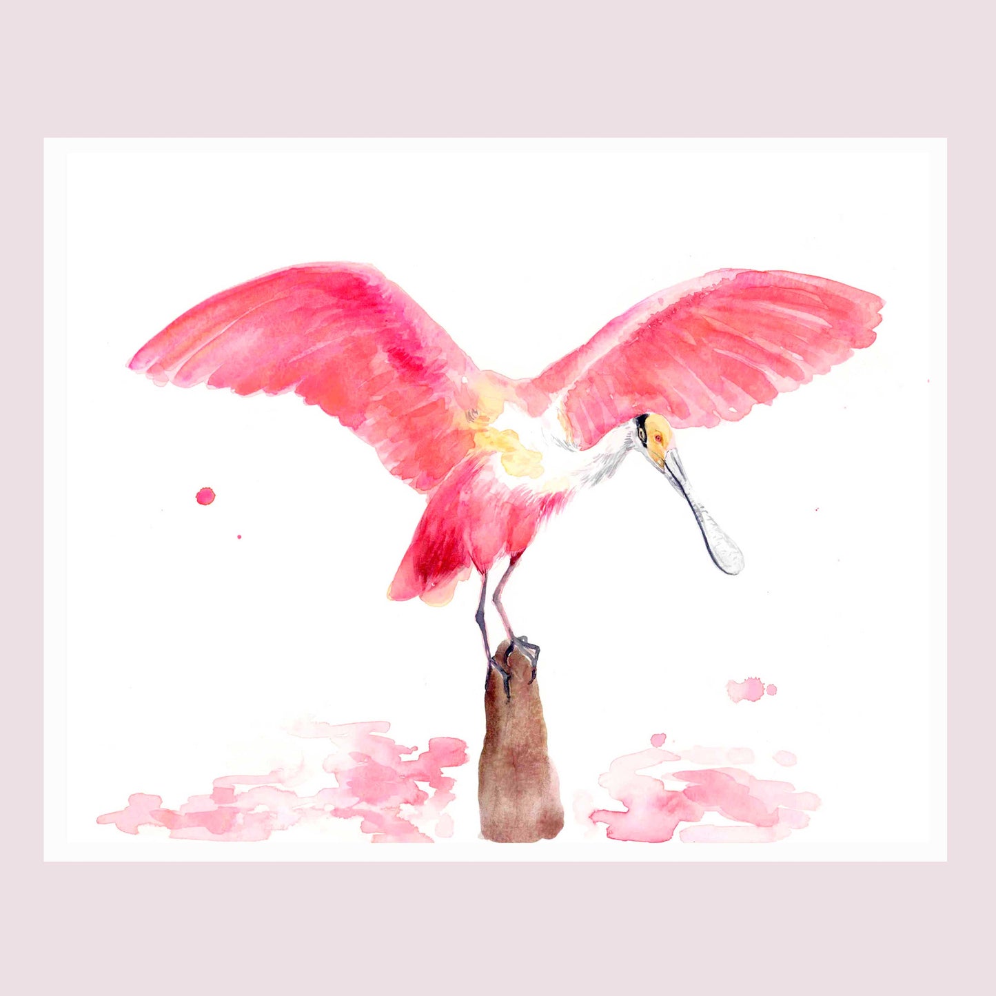 Roseate Spoonbill