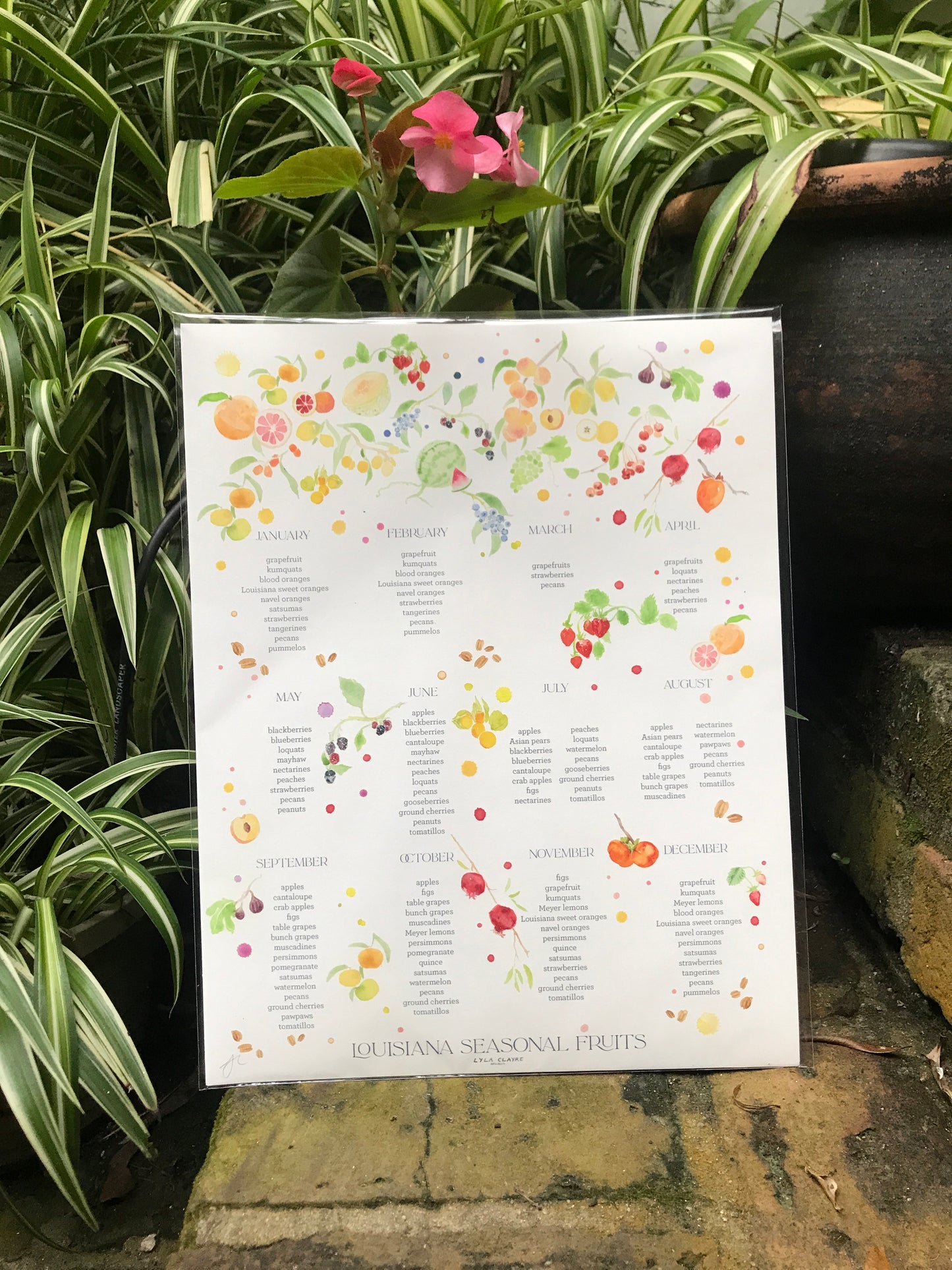 Louisiana Seasonal Fruit & Veggie Calendars