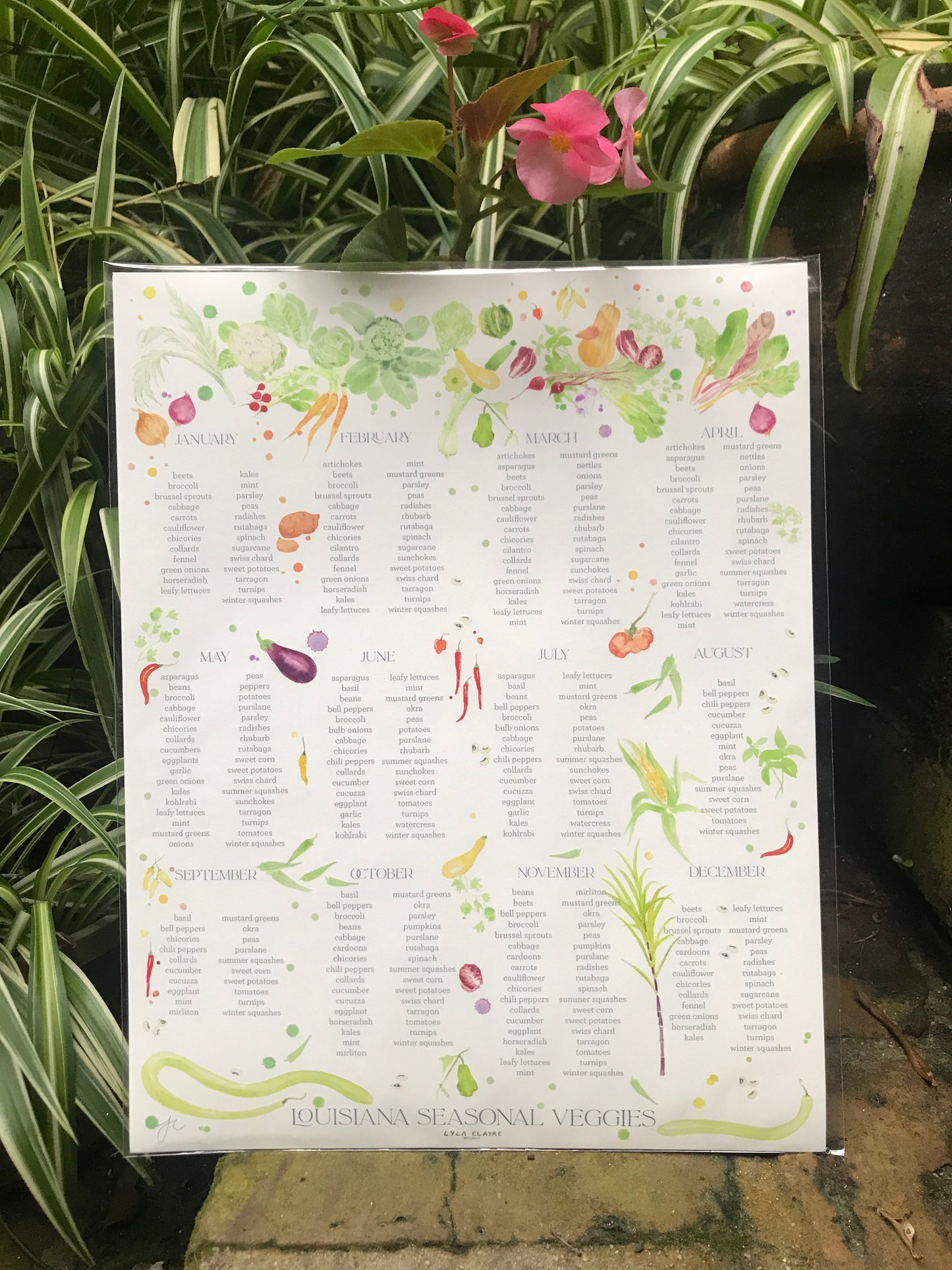 Louisiana Seasonal Veggie Calendar