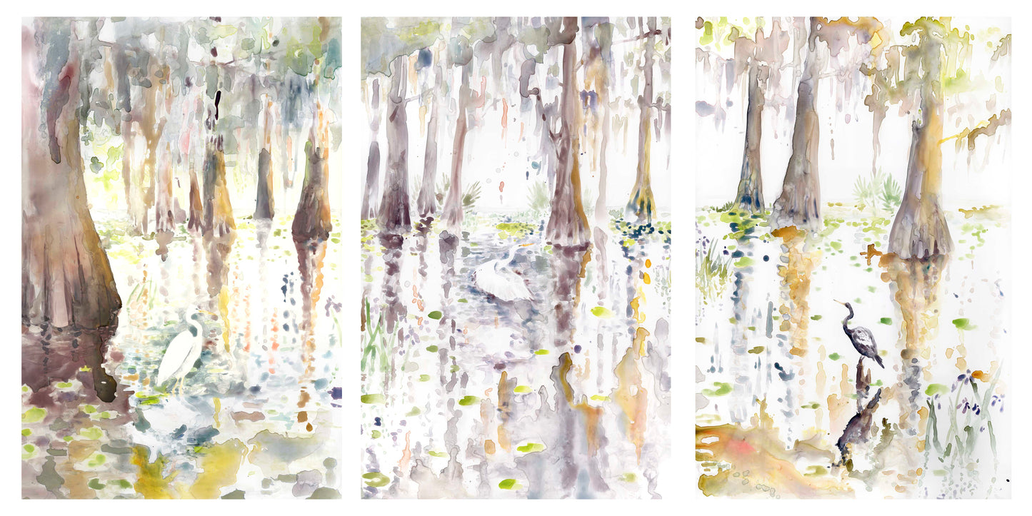 Louisiana Cypress Triptych I