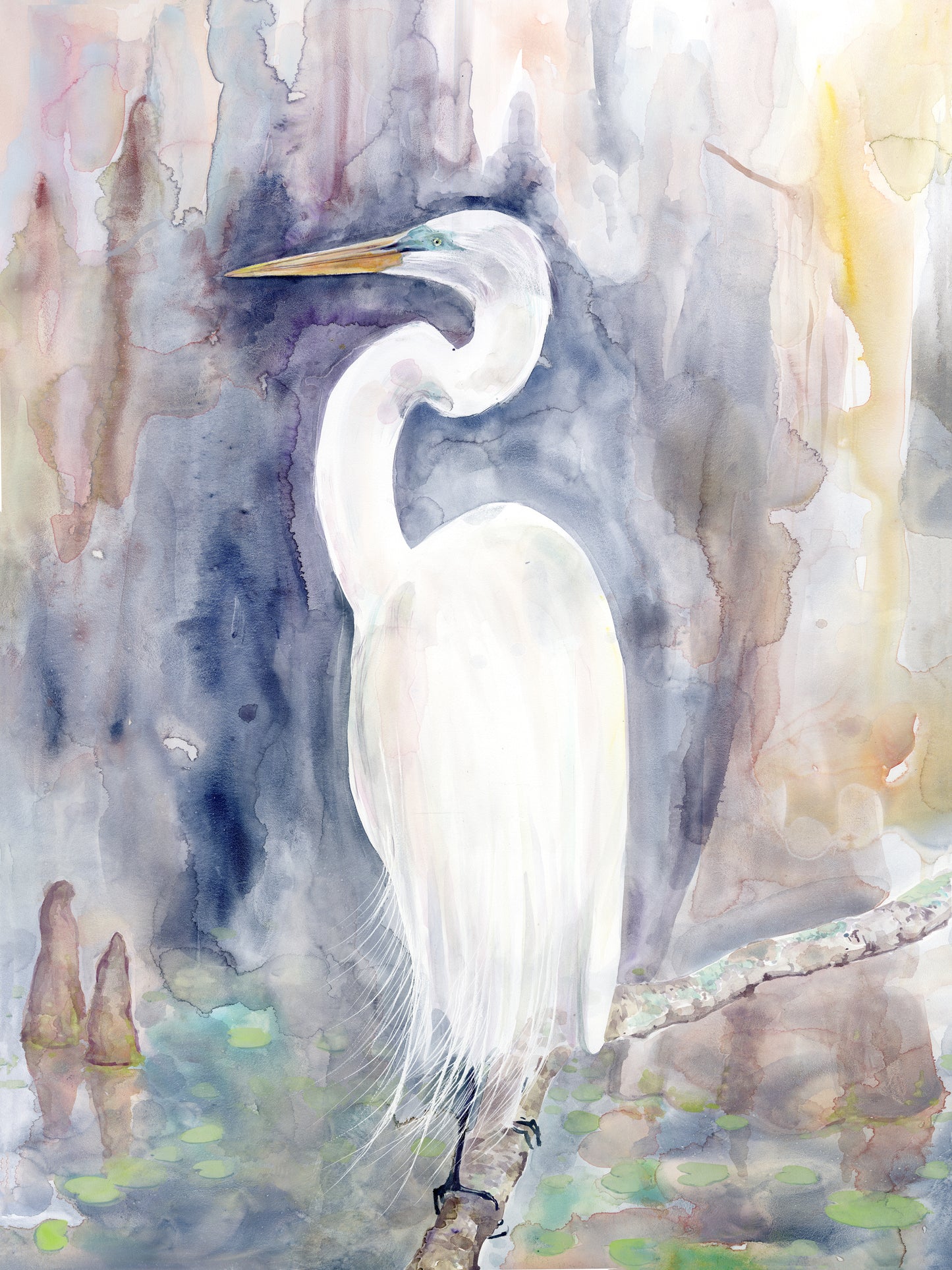 Amethyst Egret